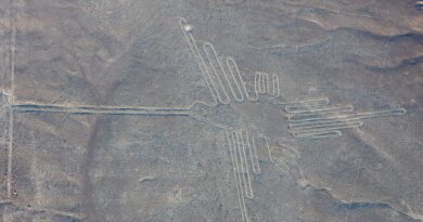 Líneas de Nazca